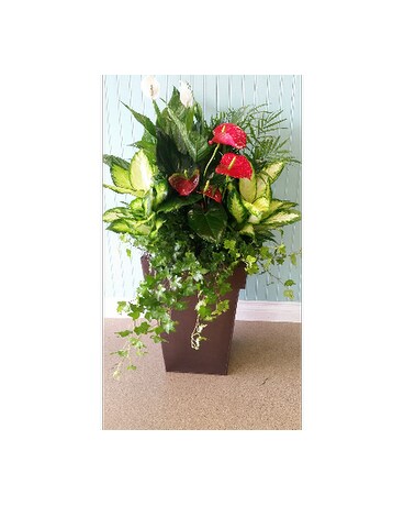 Large Tin Planter